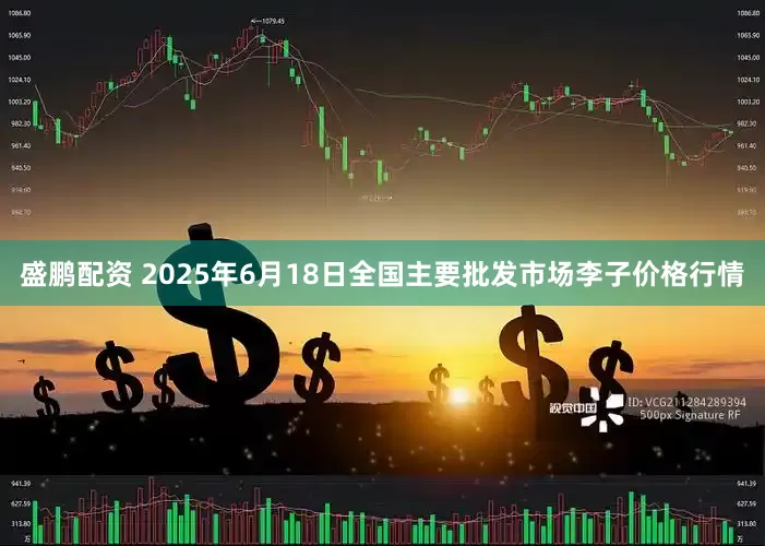 盛鹏配资 2025年6月18日全国主要批发市场李子价格行情