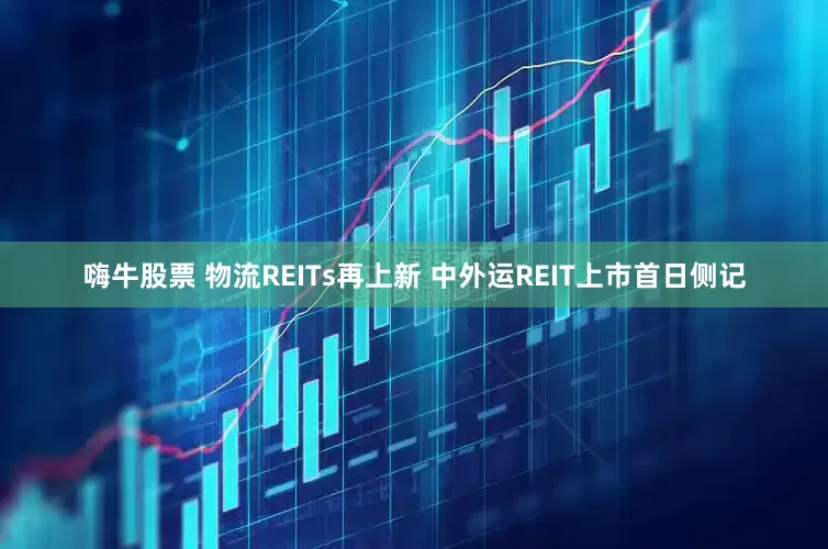 嗨牛股票 物流REITs再上新 中外运REIT上市首日侧记