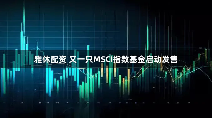 雅休配资 又一只MSCI指数基金启动发售