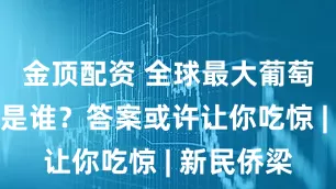 金顶配资 全球最大葡萄酒生产国是谁？答案或许让你吃惊 | 新民侨梁